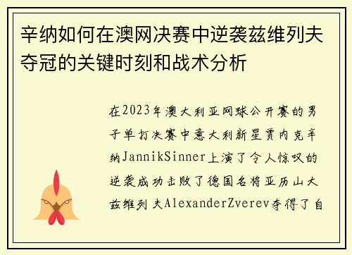 辛纳如何在澳网决赛中逆袭兹维列夫夺冠的关键时刻和战术分析
