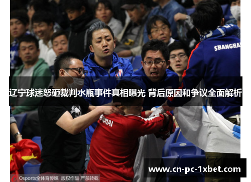 辽宁球迷怒砸裁判水瓶事件真相曝光 背后原因和争议全面解析